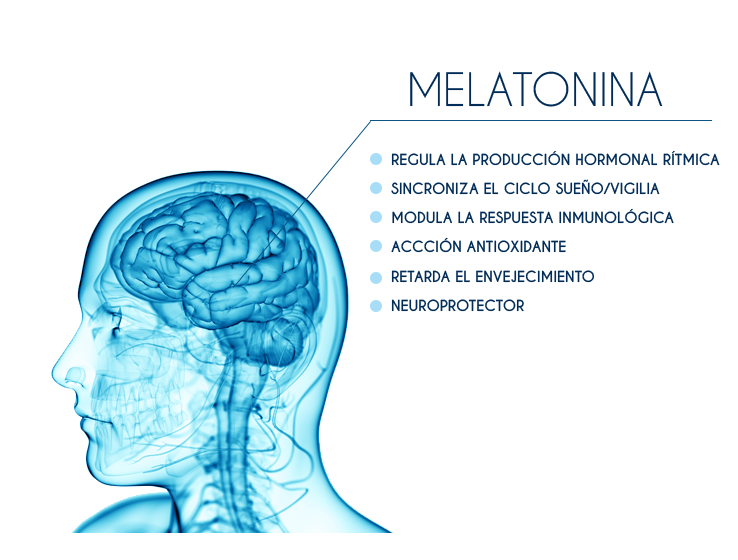 melatonina